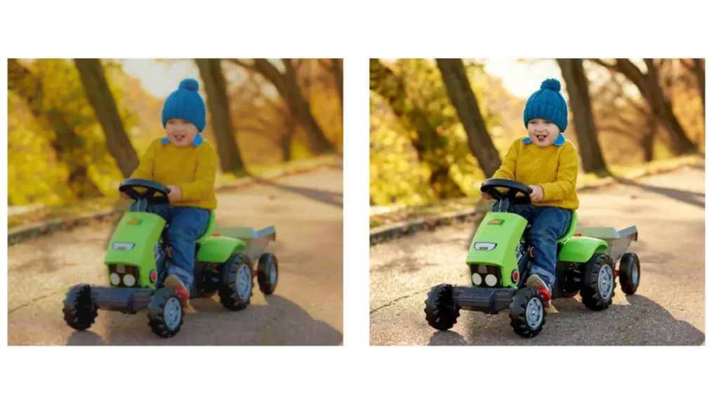 Miglioratore di immagini Vance AI