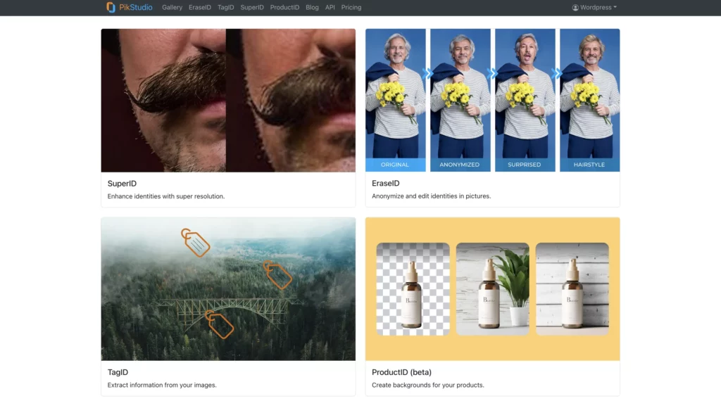 Schermata dello studio piktid